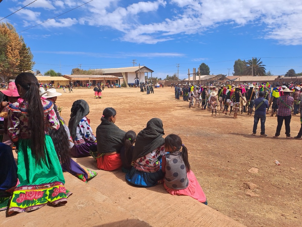 Danza tradicional Naayeri
